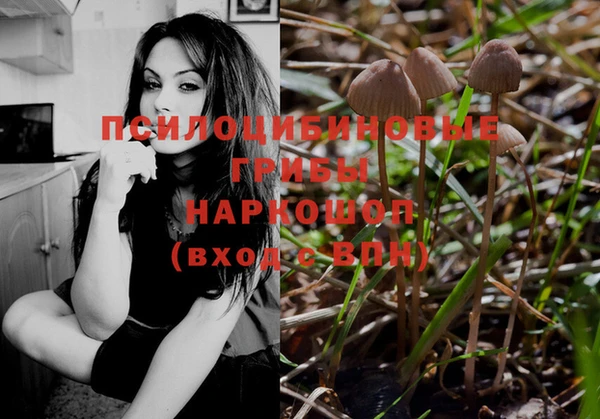 синтетический гашиш Дмитровск