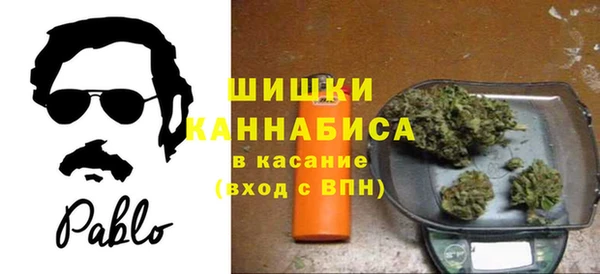 apvp Дмитриев