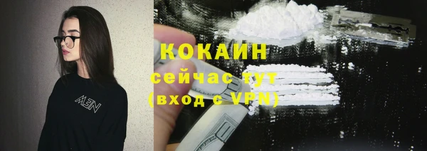 apvp Дмитриев
