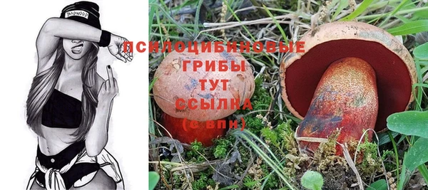 mdpv Дмитров